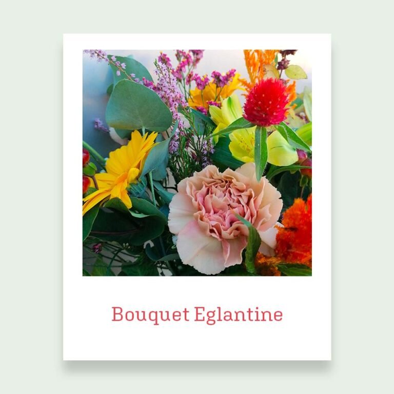 Bouquet "Eglantine"